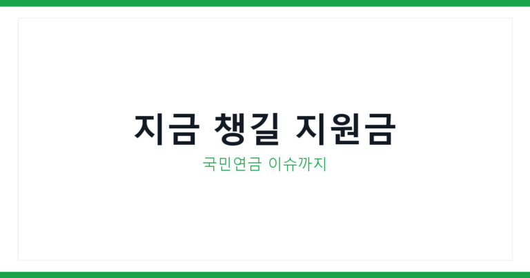 정부지원금