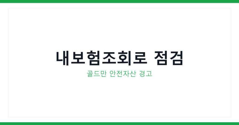 내보험조회