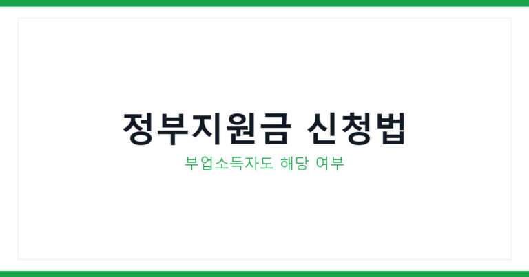 정부지원금
