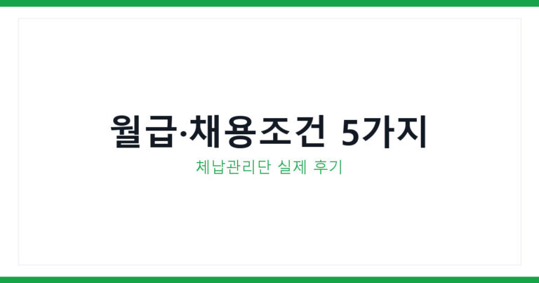 국세청 체납관리단