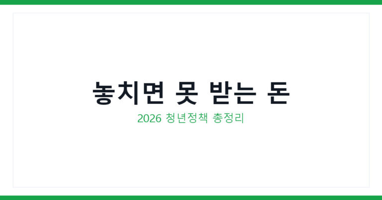 청년정책 지원금