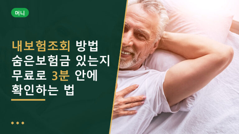 내보험조회
