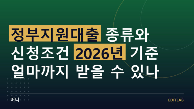 정부지원대출