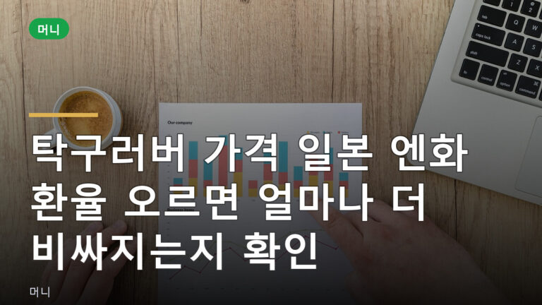 탁구러버 가격