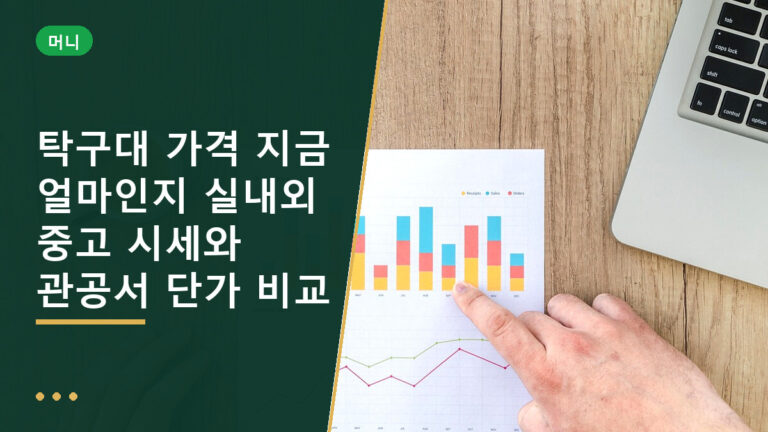 탁구대 가격
