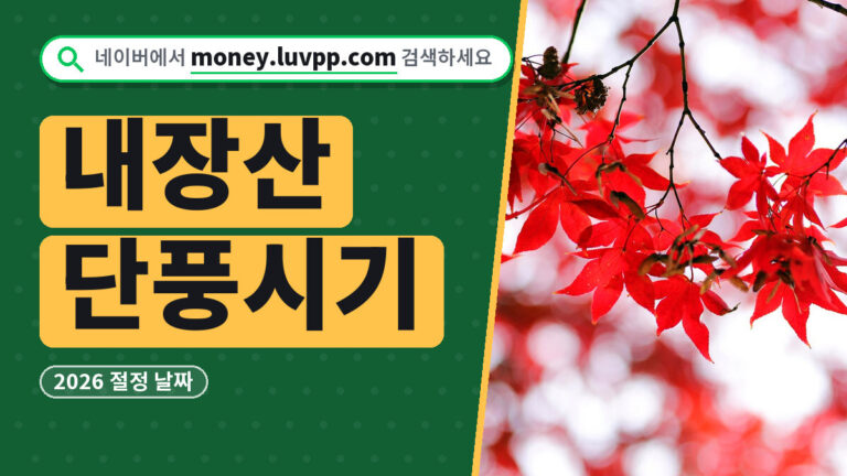 내장산 단풍시기