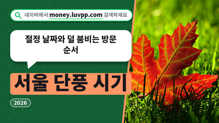 서울 단풍 시기