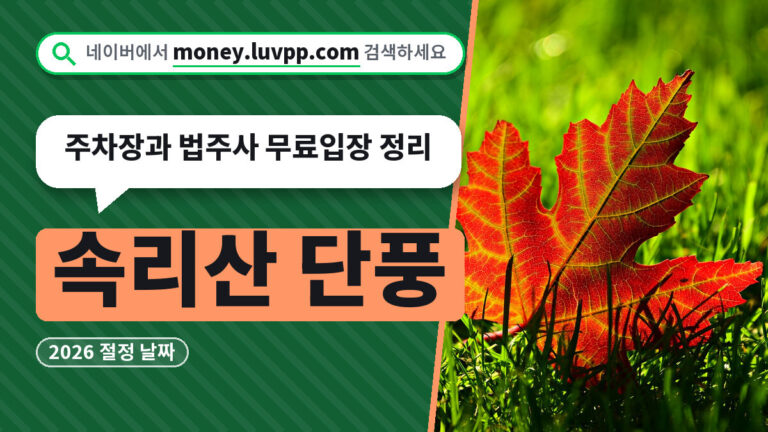 속리산 단풍