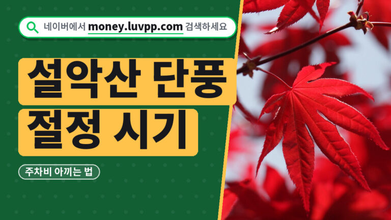 설악산 단풍 절정 시기