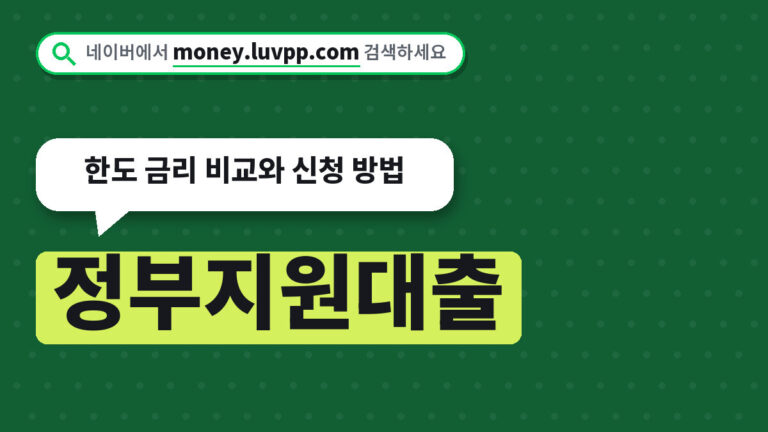 정부지원대출
