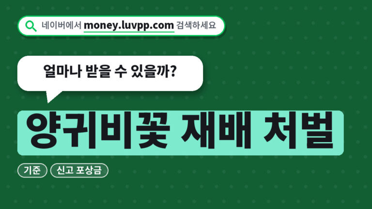 양귀비꽃 재배 처벌